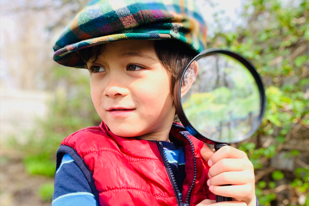 Foraging in Your Own Backyard