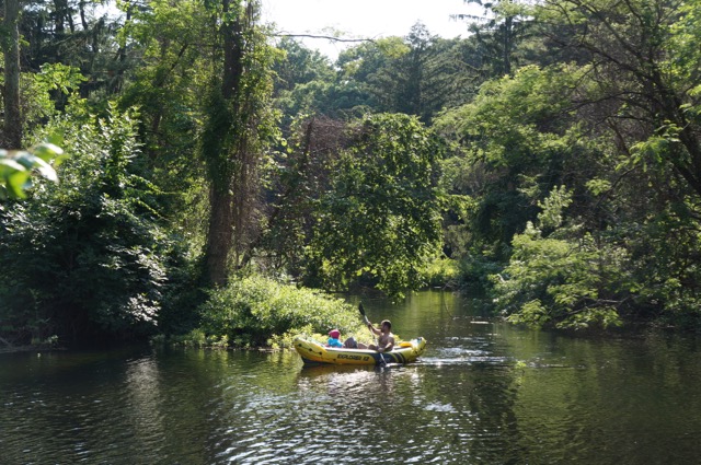 Many Rivers to Save