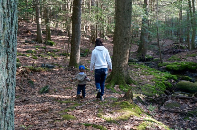 Into the Woods