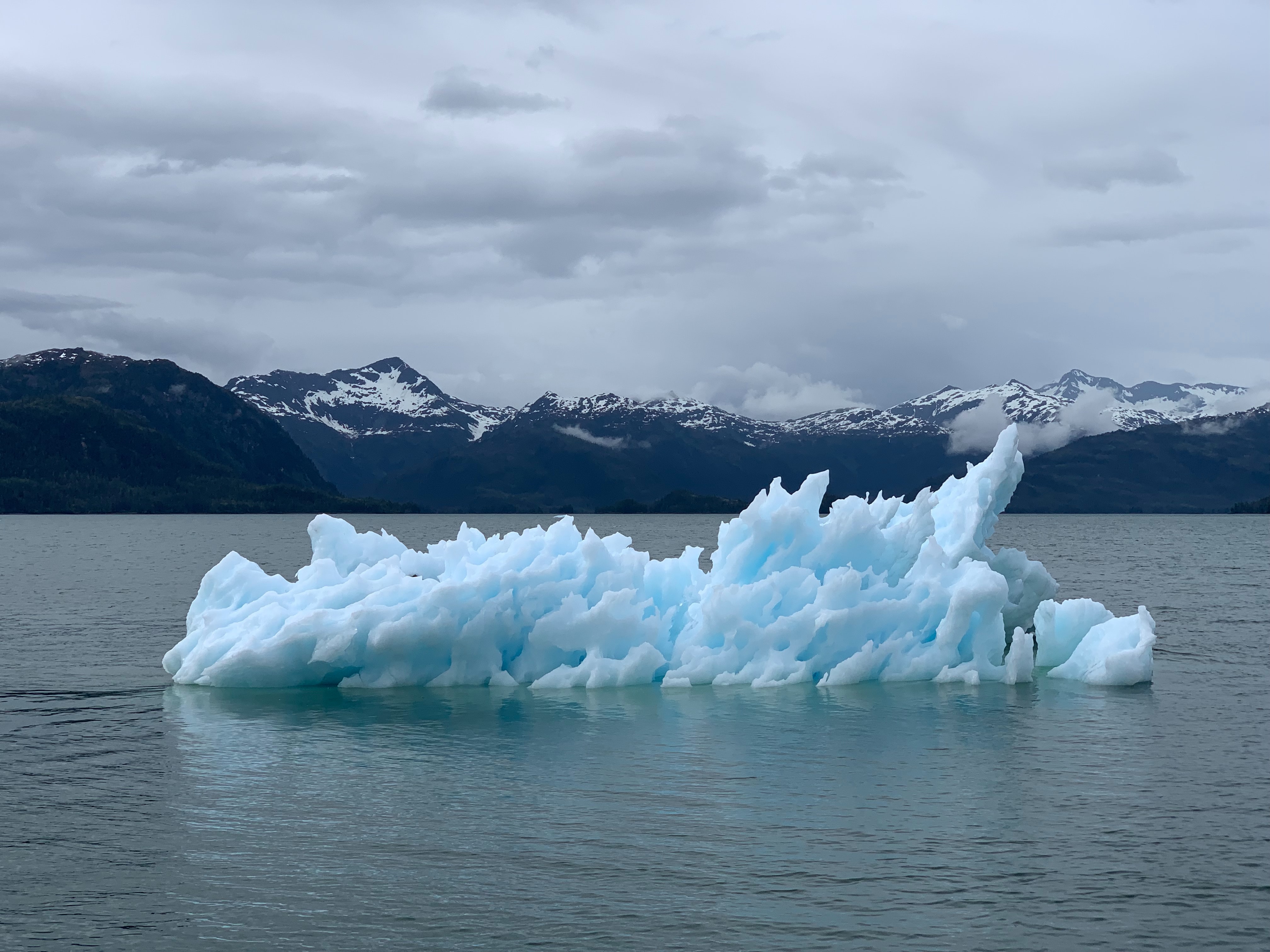 Citizens’ Climate Lobby
