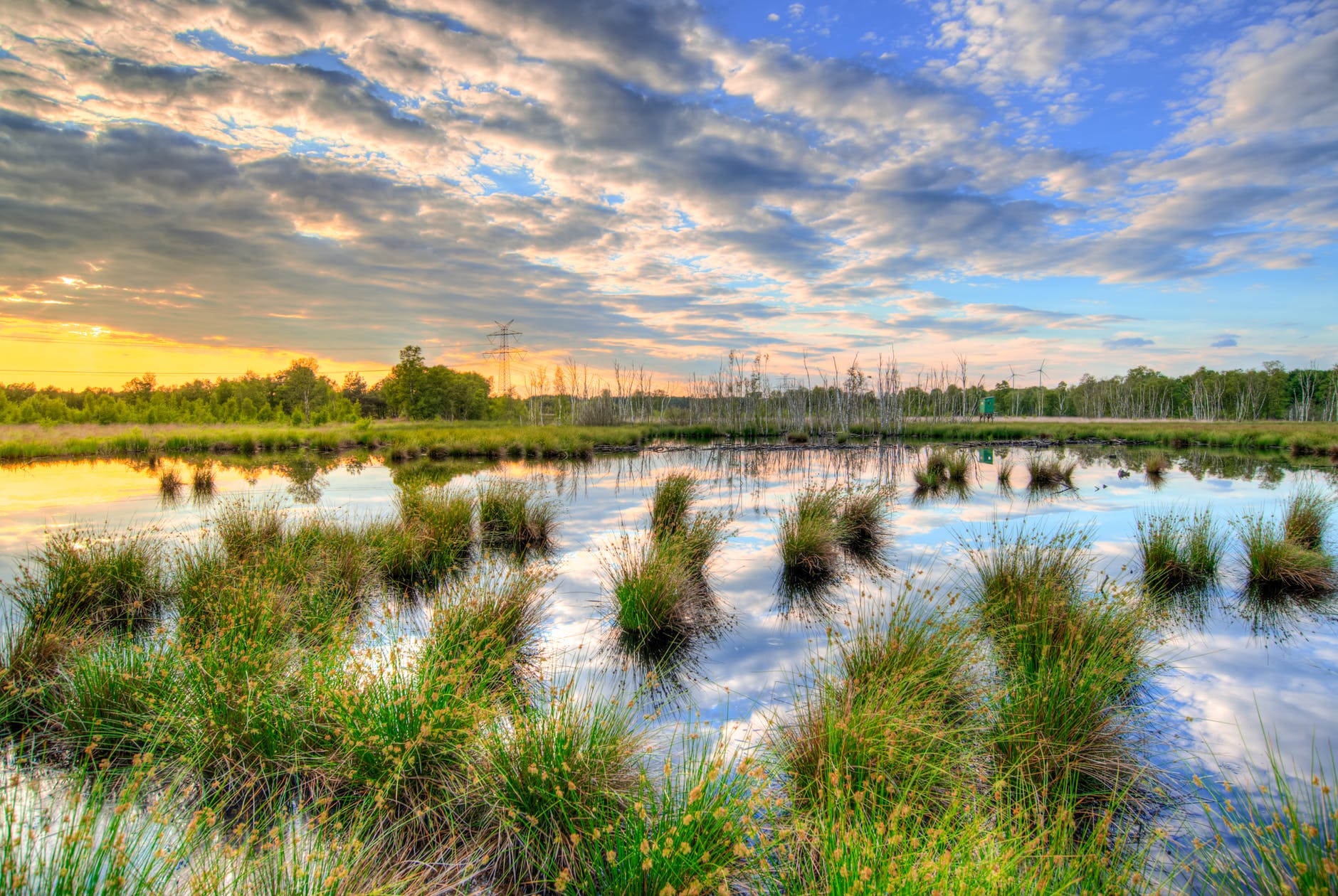 Wetlands and Marshes