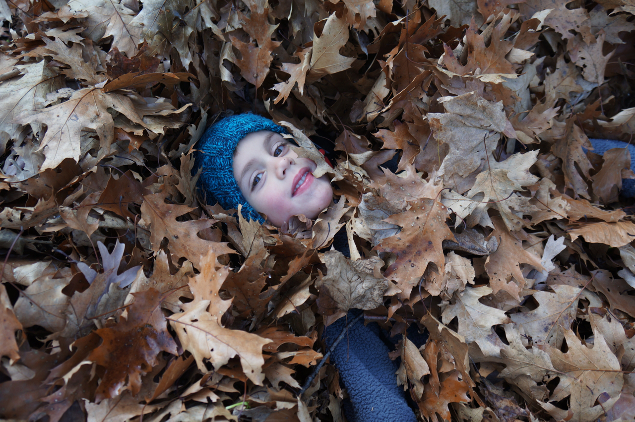 Leave the Leaves…Please