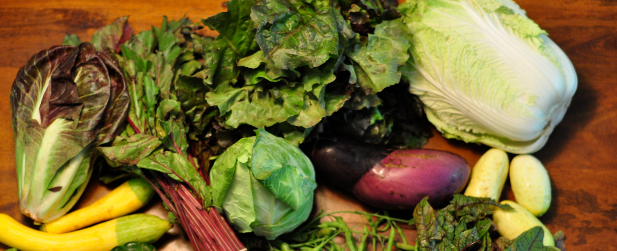 Growing season is here- join a CSA!