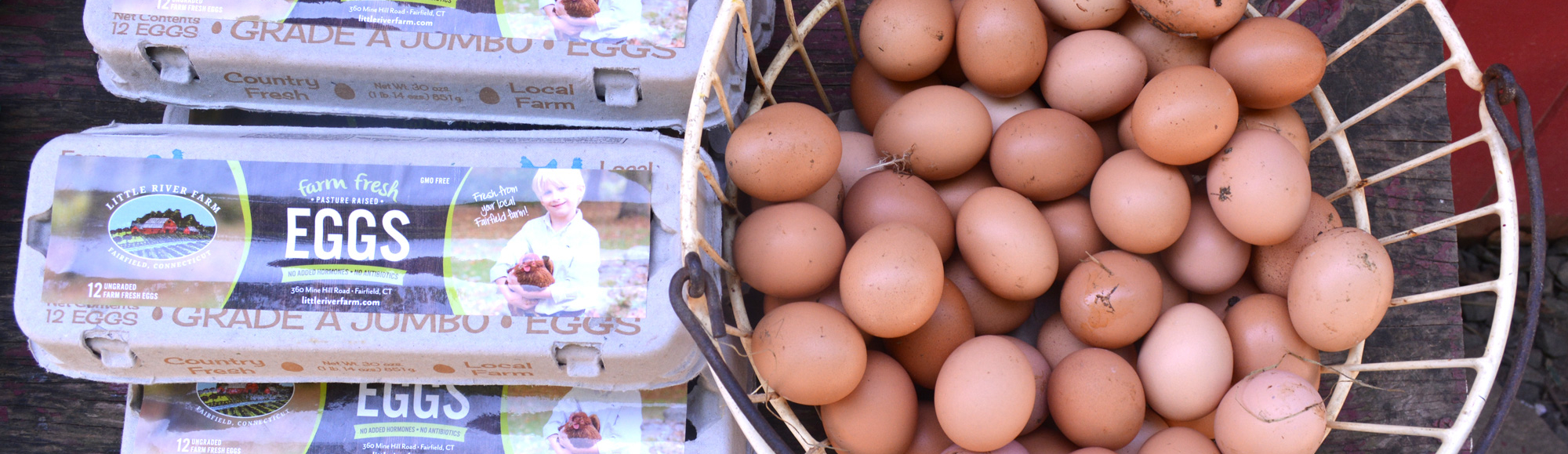 Farmstand Spotlight: Little River Farm